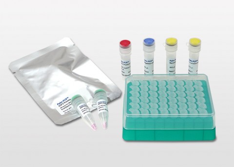 Palm PCR™ ASFV Fast PCR Kit