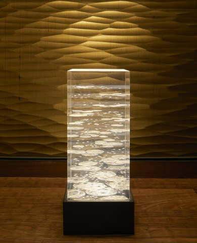 Koizumi Lighting Received Illuminating Engineering Society Award of Distinction for “Kyoto Kaguraoka...