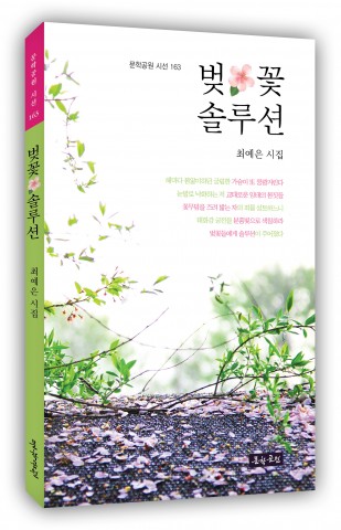 최예은 시집의 첫 시집 벚꽃 솔루션 표지