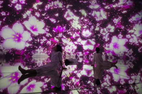 teamLab Planets, a “Museum Where You Walk through Water” in Tokyo, Is Transformed by Cherry Blossoms...