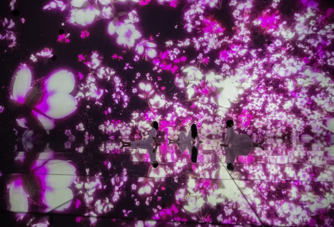 teamLab Planets, a “Museum Where You Walk through Water” in Tokyo, Is Transformed by Cherry Blossoms...