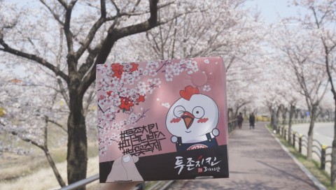 투존치킨이 ‘벚꽃패키지’ 봄맞이 이벤트를 진행한다