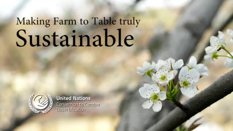 ‘2020년 세계 사막화 및 가뭄의 날’ 온라인 기념식 한살림 소개 영상 메인 화면