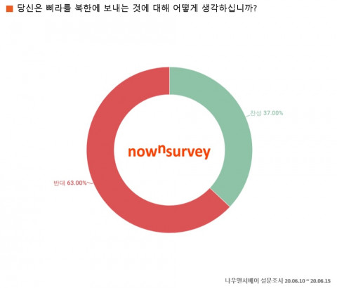 삐라를 북한에 보내는 것에 대한 찬반 설문 응답