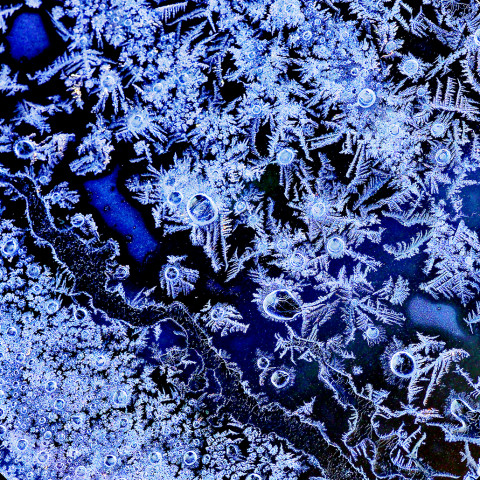 채종렬의 ‘Window frost’ 사진전이 6월 9일부터 7월 5일까지 갤러리 강호에서 열린다
