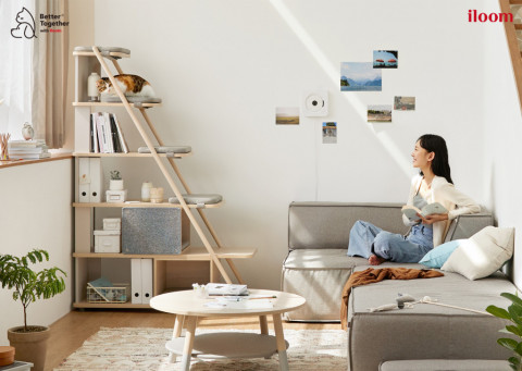 일룸의 캐스터네츠가 펫콕족 증가에 힘입어 매출이 2배 상승했다