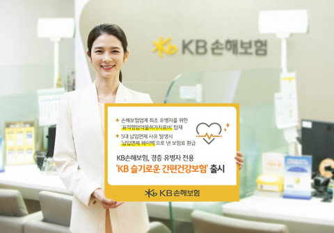 KB손해보험이 KB슬기로운 간편건강보험을 출시했다