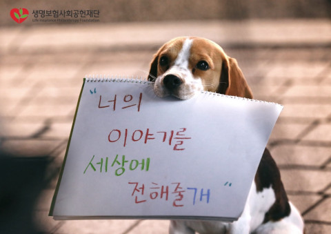 생명보험재단이 국제PR협회 골든 어워드에서 NGO 캠페인 부문의 위너로 선정됐다