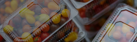 FP Corporation Switches to Rimini Street Support for its SAP Applications