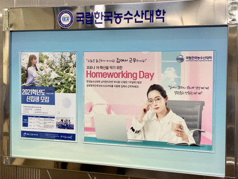 교내 게시판에 Homeworkig Day 관련 내용이 설명된 홍보물이 붙어 있다