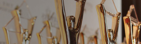 Rimini Street Wins Gold Stevie® Awards for Company of the Year and Employer of the Year