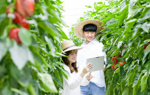 국립한국농수산대학은 9월 23일 ~ 10월 12일 수시모집 농수산‧도시인재전형의 원서접수를 진행한 결과 213명 모집에 951명이 지원해 4.46:1의 경쟁률을 보였다