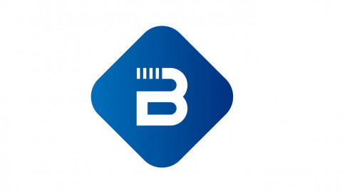 블루바이저 로고