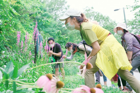 8월 낙산공원의 곤충을 주제로 진행된 우리 마을 보.물 탐사자 활동