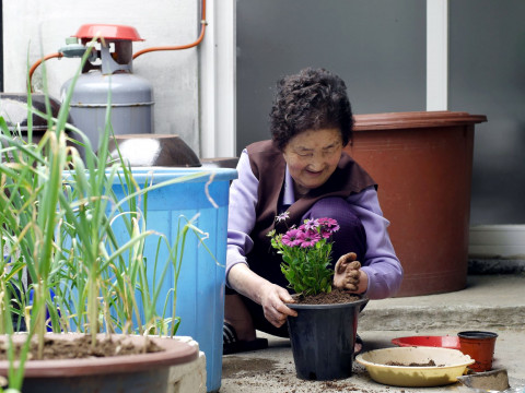 ‘In my Liflower’ 사진+스토리 공모전 대상 수상작