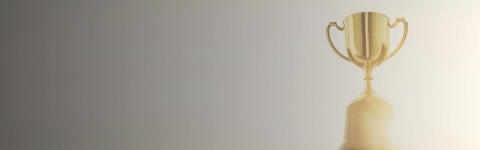 Rimini Street Wins Three Gold Pillar World Awards® for Great Workplace of the Year in the U.S., Asia