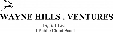 웨인힐스벤처스(WAYNE.HILLS VENTURES) 로고