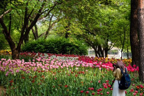 시민과 함께 만든 서울숲의 구근정원