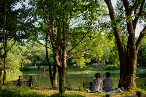 서울숲 중앙호수에서 휴식하고 있는 시민들