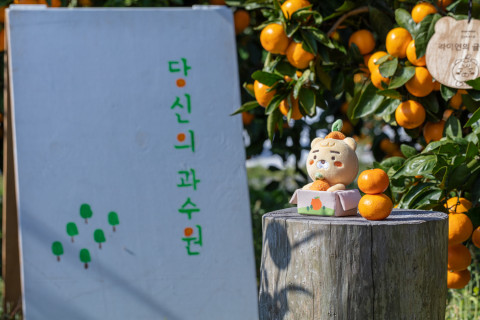 리틀 라이언 키체인과 감귤