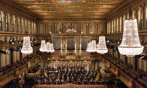 빈 필하모닉 ⓒTerry Linke