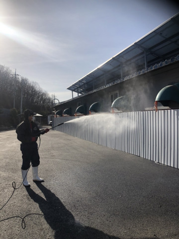 재입식농가 양돈 농장 소독 캠페인