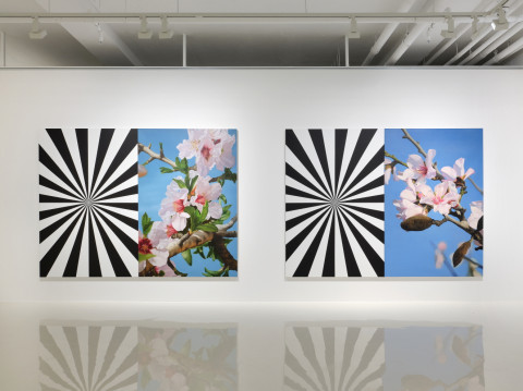 Exstacy Almond Blossom Series (L), 214×304㎝