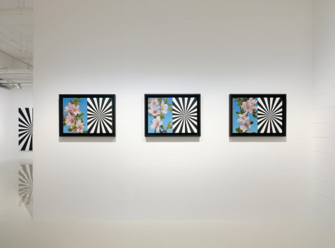 Exstacy Almond Blossom Series (S), 50.8×81.5㎝