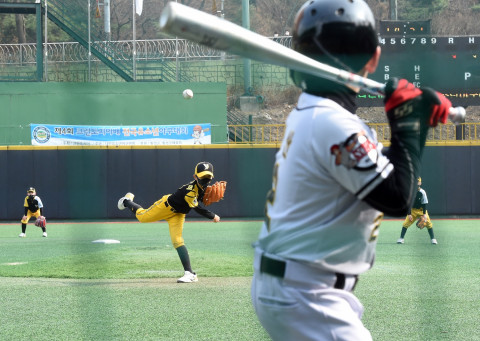 크린토피아가 제4회 전국 유소년 야구 대회를 후원한다