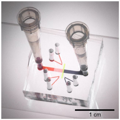 비균일 분포를 갖는 미세구조물을 포함한 초미세유체칩