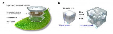 a, 연구팀이 개발한 피부 형태의 부력 제어 기술 및 이를 활용한 헤엄치는 나뭇잎 모식도. b, 부력 제어 원리. 탄성 중합체(외력의 영향을 많이 받는 고분자 화합물) 내부에 끓는