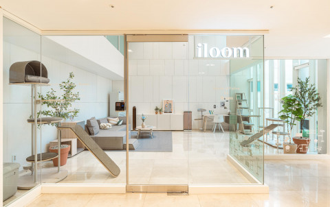 일룸 캐스터네츠와 놀로가 선보인 전시 공간 House of Feline