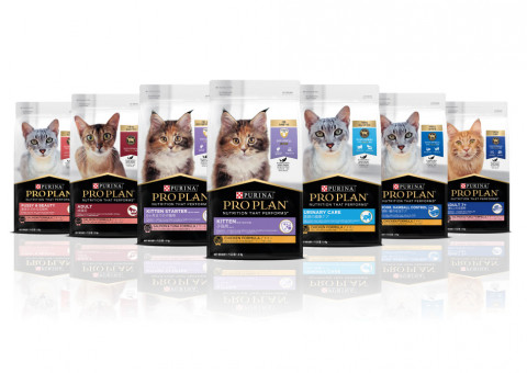 네슬레 퓨리나가 출시하는 프로플랜 캣 리뉴얼 전 제품