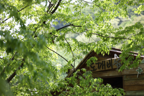 광릉숲길 어린이정원에서 만날 수 있는 도깨비숲