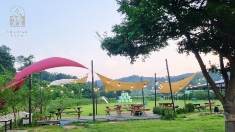 스카이밀크팜 전경