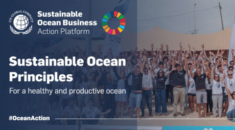 UN 글로벌콤팩트 지속가능한 해양 원칙은 부문별, 지역별 책임 있는 비즈니스 관행을 실천하기 위한 프레임워크를 제공한다