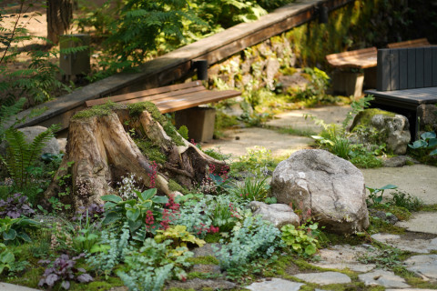 녹색 이끼와 다양한 식물을 감상할 수 있는 정원