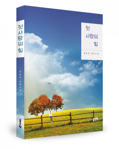 양승균 지음, 좋은땅출판사, 284쪽, 1만2000원