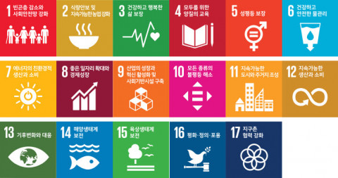 지속가능 발전 목표(SDGs)
