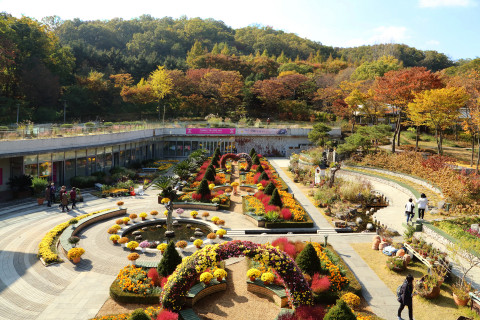 신구대학교식물원 가을 중앙광장