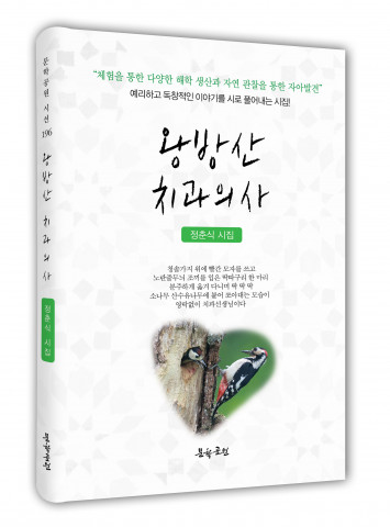 정춘식 시집 ‘왕방산 치과의사’ 표지, 136p, 정가 1만5000원
