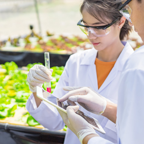 Mitsubishi Corporation Life Sciences to Accelerate Next Wave of Digital Transformation and Business Growth by Switching to Rimini Street Support