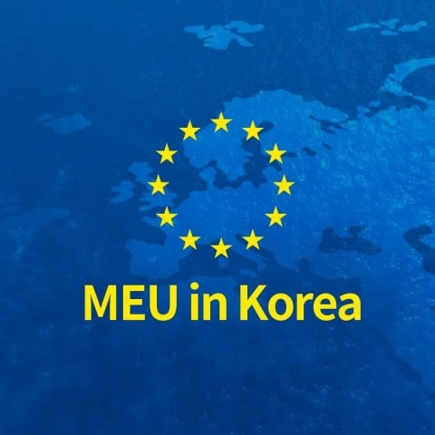 모의유럽연합