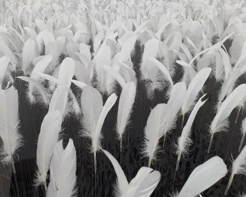 이연숙, PROTOTYPE-참을 수 없는 존재의 가벼움, 스테인리스 스틸, 모터, 깃털, 40×40×150㎝, 2021