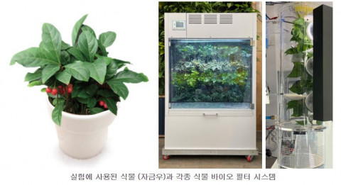 실험에 사용된 식물(자금우)과 각종 식물 바이오필터 시스템