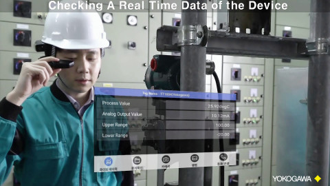 FMV (FieldMaster Viewer)