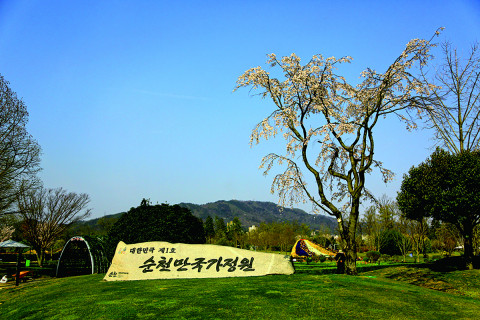 2015년 국가정원 제1호로 지정된 ‘순천만국가정원’