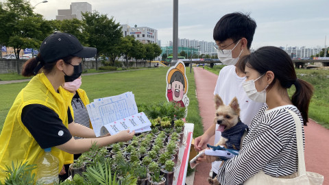 2021년도 안녕캠페인 우수 사례로 선정된 경산시 ‘청년이 만드는 나비효과’