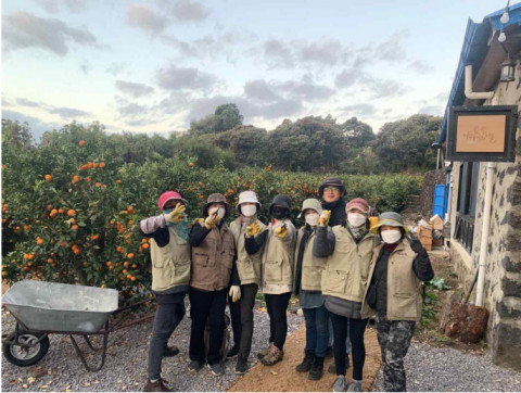 10박 11일 제주 농부로 살아보기 체험