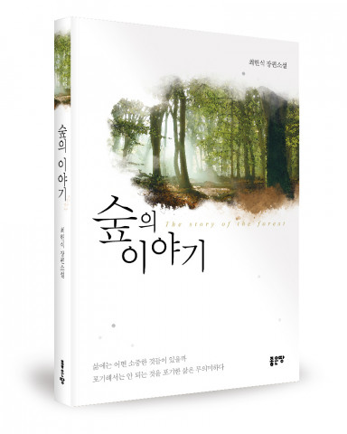 최헌식 지음, 좋은땅출판사, 280쪽, 1만3000원